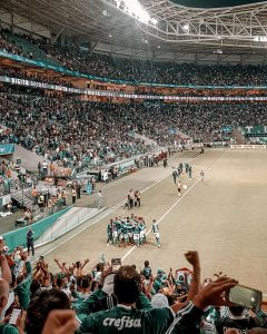 Palmeiras